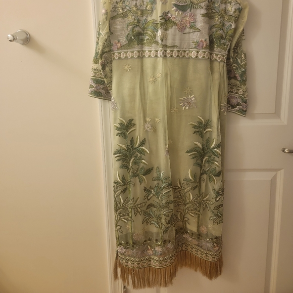 Pakistani designer dress - Picture 5 of 6